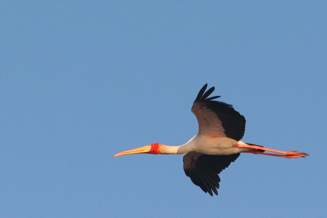 Kruger Park - Full day - Private safari vehicle - Who should book this Kruger private day?