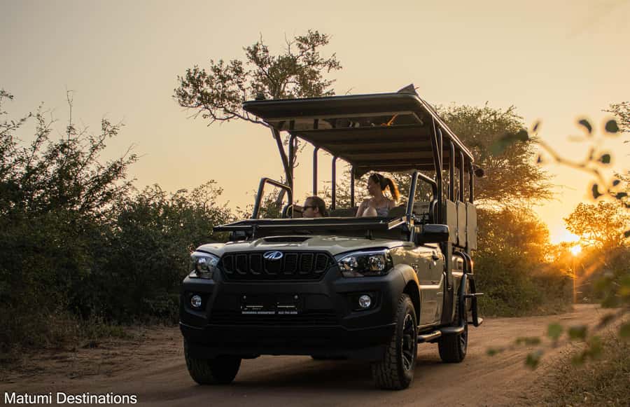 Kruger Park Full Day Safari From Hoedspruit - When the bush is waking up, watch for predators and big grazers