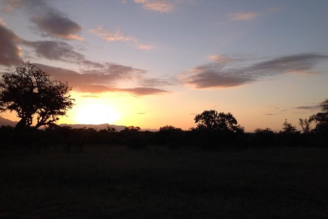 Kruger Park Safari: Guided Day Tour from Nelspruit - The Big Five and Beyond: What to Watch for in Real Time