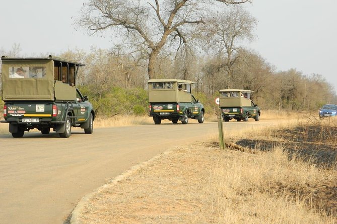 Kruger Park Safari - Half Day Game Drive from Hazyview - From Hazyview to Kruger, pickup that keeps your half day on track
