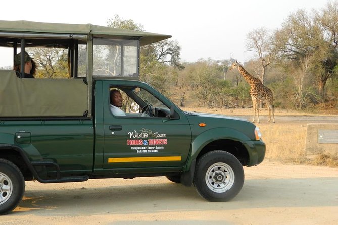 Kruger Park Safari - Half Day Game Drive from Hazyview - Entry fees, passports, and cashless gates you should plan for