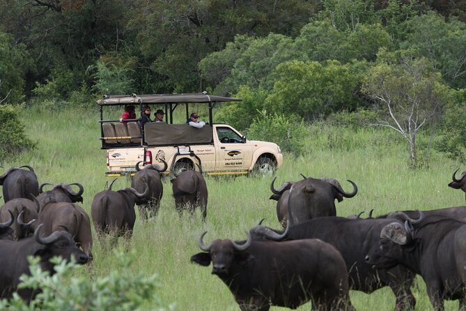 Kruger Park Safari Private Full-Day Tour from Marloth Park - Private Open-Air Safari Comfort You Actually Feel