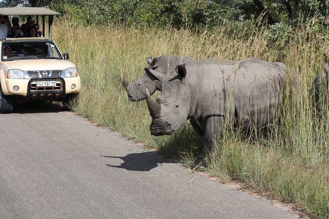 Kruger Park Safari Private Full-Day Tour from Marloth Park - VHF Radios: The Tech That Improves Your Chances