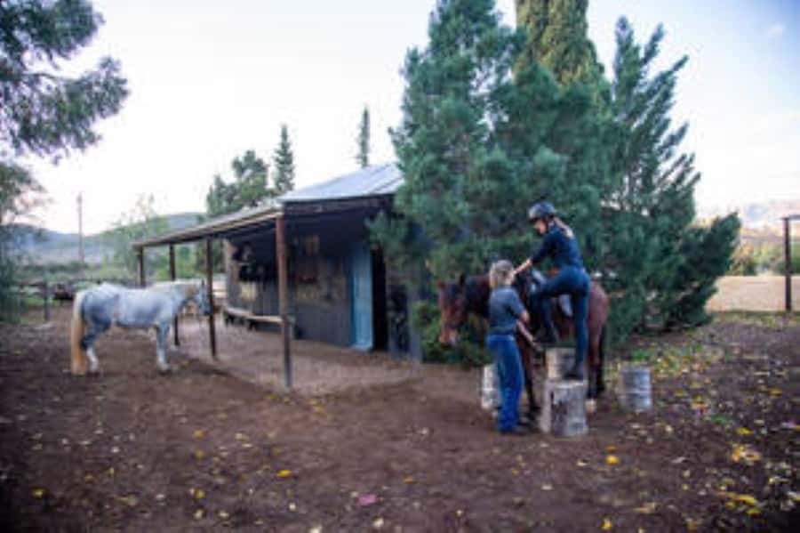 Kudu Trail Horse Riding Experience - The 90-Minute Trail Plan: Veld Views, Jeep Tracks, Farm Roads, Game Paths