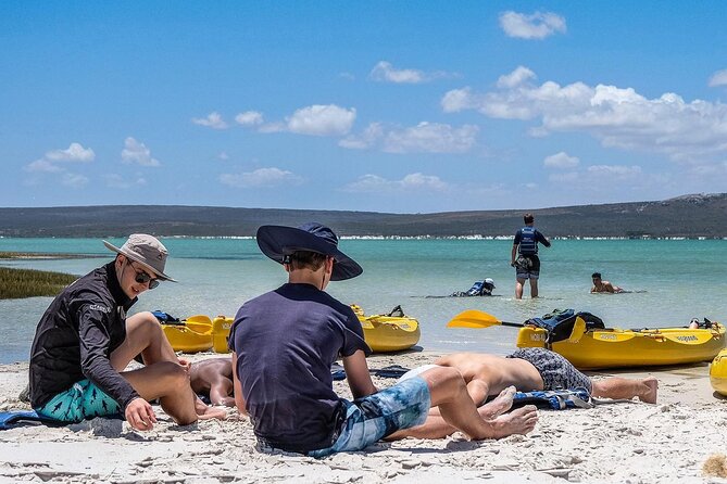 Langebaan Lagoon Island Kayak Experience - Around Schaapen Island in the West Coast National Park