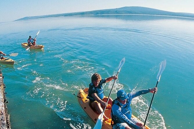 Langebaan Lagoon Island Kayak Experience - Wildlife spotting, without turning it into a checklist