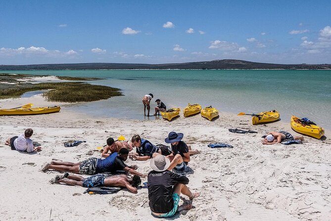 Langebaan Lagoon Island Kayak Experience - What a 2-hour kayak window feels like