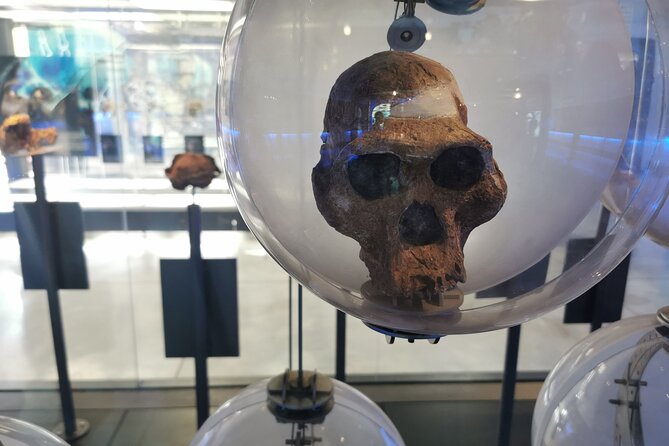 Lesedi Cultural Village and Cradle of Humankind Tour - Maropeng Museum First, Fossils Second: Mrs Ples and Little Foot