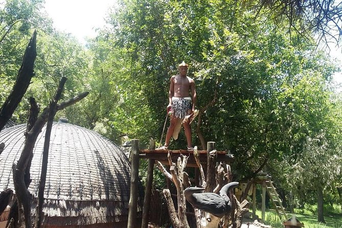 Lesedi cultural village and lion mini safari - Logistics That Matter: Pickup, Comfort, and Timing