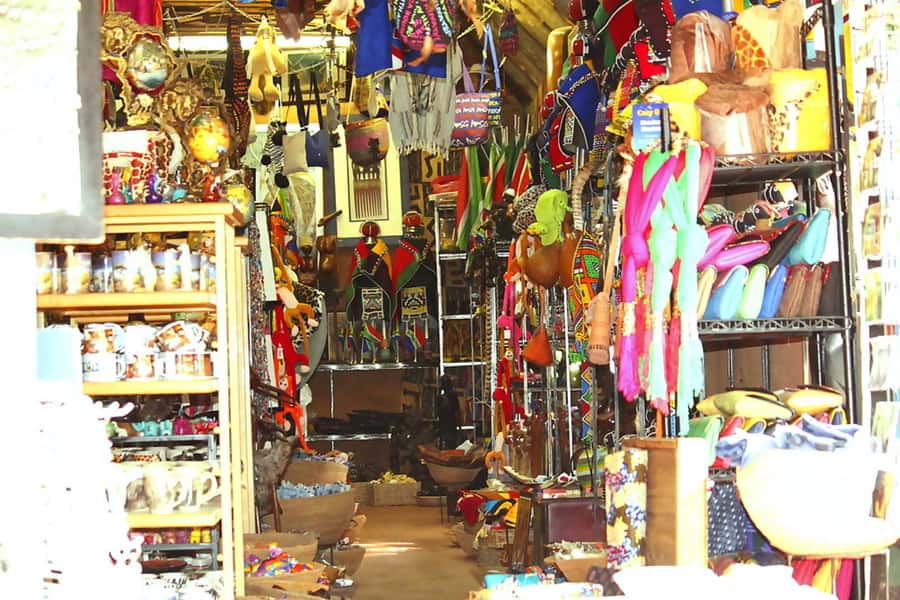 Lesedi Cultural Village Half-Day Tour - Pickup, timing, and the flow of a 5-hour day