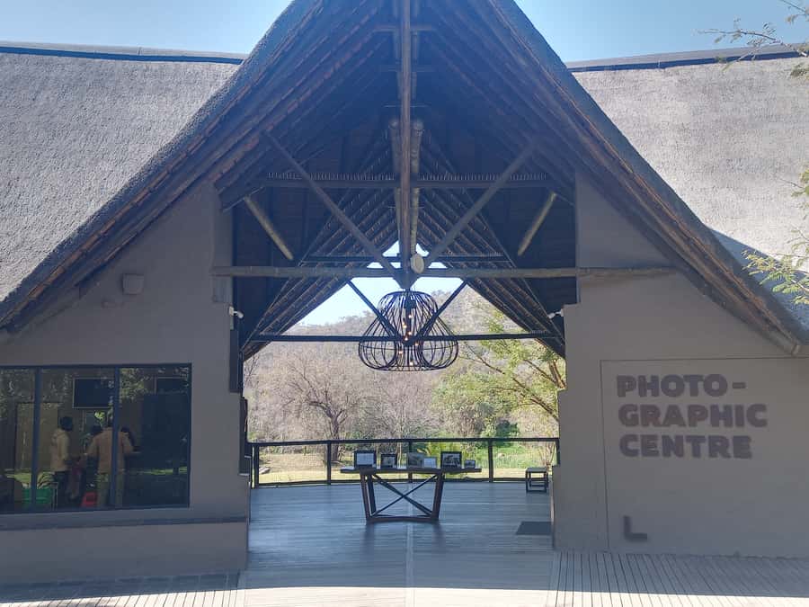 Lion park - Lion Park in the North West: what kind of safari day is this?