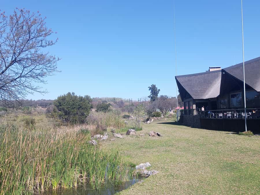 Lion park - The Hartbeespoort stop: photos, shopping, and a short walk