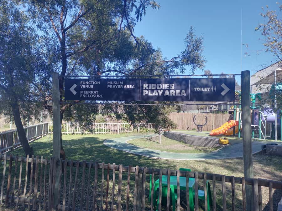 Lion park - What to bring, and what security and bag rules mean for you