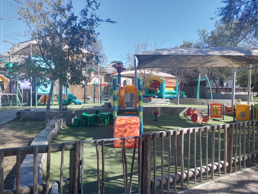 Lion park - Who should book this Lion Park safari, and who should skip it