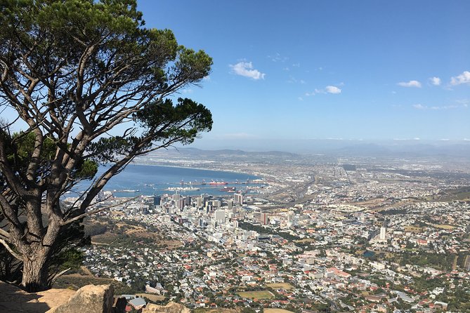 Lion's Head Hike - Private Tour - Photo Stops Over Camps Bay and Clifton’s Turquoise Coast