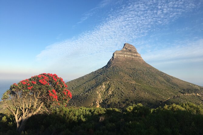 Lion's Head Hike-sunrise/sunset with professional private guide - Key highlights at a glance