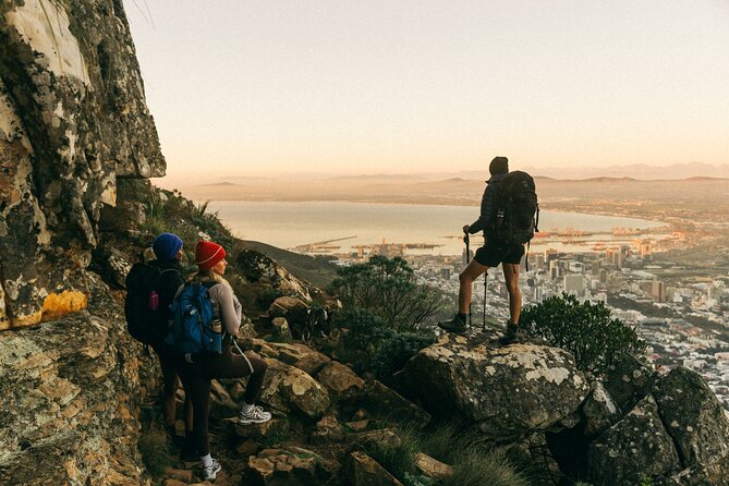 Lion's Head Hike-sunrise/sunset with professional private guide - Start at Signal Hill Road: what the first minutes actually feel like