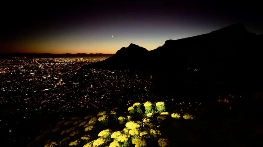 Lion's Head Sunrise or Sunset Hike + Hotel Pick-Up - The descent: why your legs will thank you if you pace it