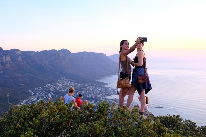 Lion's Head Sunset Hike in Cape Town - Fynbos on the Slopes: A Mountain Walk That Teaches You What You’re Looking At