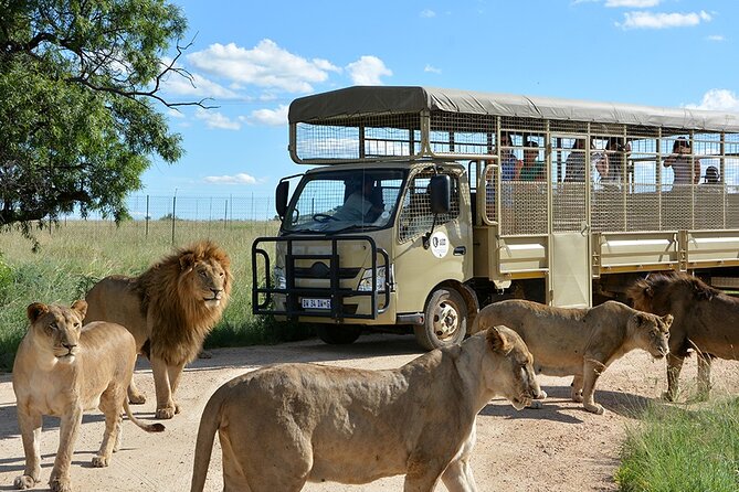 Lion & Safari Park - Private tour comforts, and what they mean for your experience