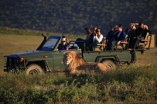 Luxury 2-Day In & Out Garden Route Safari Tour - The Sunset Safari Moment at the Open Land Rover