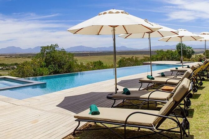 Luxury 2-Day In & Out Garden Route Safari Tour - Cape Agulhas: The Southern-Most Point and Two-Ocean Line