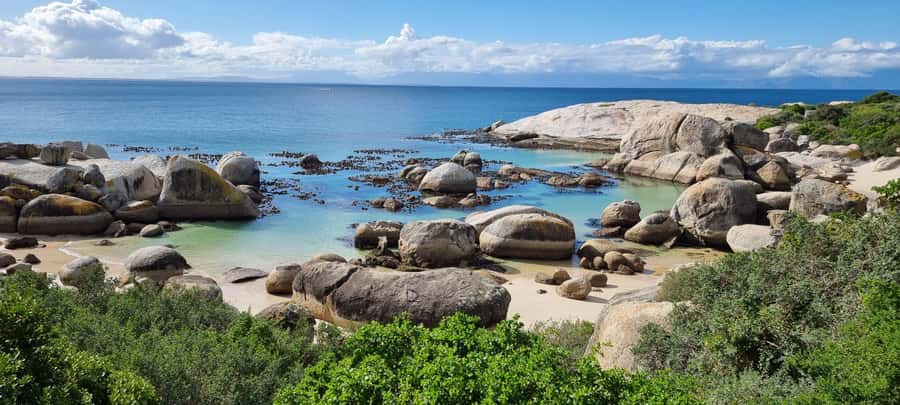 Luxury Cape of Good Hope & Penguin Tour - Chapman’s Peak Drive stops: the photos are good, but the reasoning is better