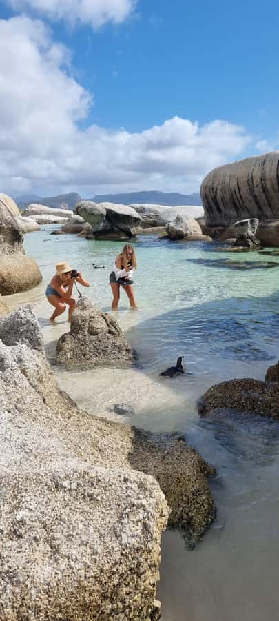 Luxury Cape of Good Hope & Penguin Tour - Price and value: what $239 covers, and what you still need to pay