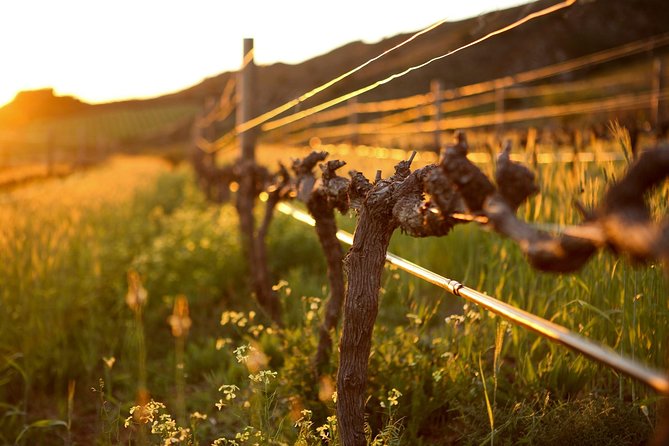 Luxury Wine Tour with Lunch - Helshoogte: a scenic drive that breaks up the wine rhythm