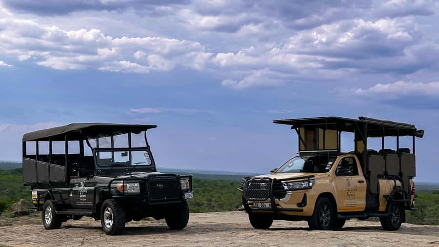 Malelane & Komatipoort: Kruger National Park Half-Day Safari - Your half-day safari drive: what you do for about six hours in the park