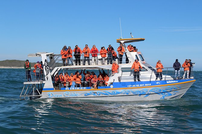 Marine Big 5 Full Day Guided Return Transfer Cape Town - Gansbaai - Price and Value: How $155.84 Fits With the On-Arrival Costs