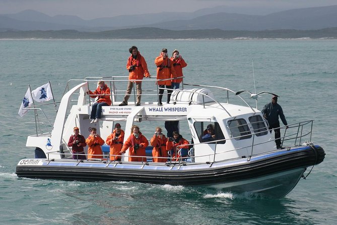 Marine Big 5 Safari full day trip from Cape Town - Key points to know before you go