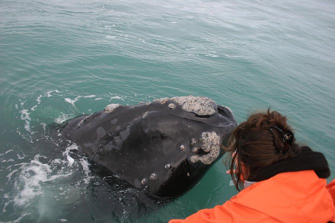 Marine Big 5 Safari: Self-Drive - Key things to know before you go