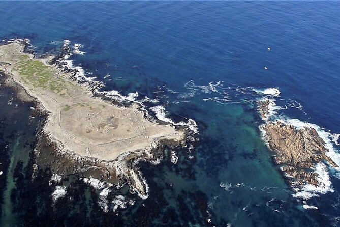 Marine Big 5 Safari with transport from Cape Town - Marine Big 5 from Dyer Island: what you can realistically see