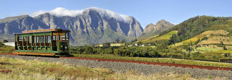 Marine Eco Cruise and Half-Day Wine Route with Tastings - Price and value: is $160 a good deal?