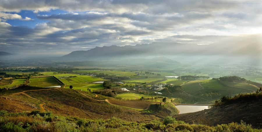 Marine Eco Cruise and Half-Day Wine Route with Tastings - What to pack and how to get the most out of it