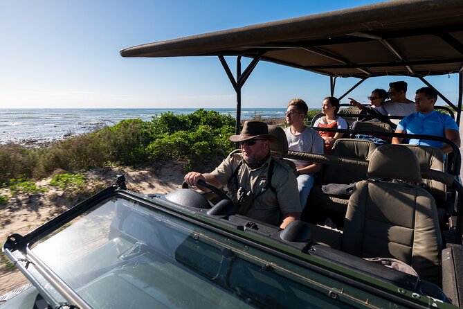 Marine Eco Safari - Cape Recife from Land, What You’re Really Trying to See