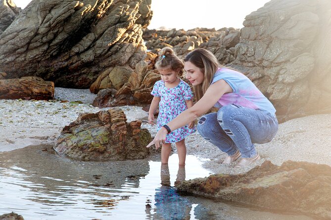 Marine Eco Safari - Drives, Hikes, and Viewing Stops: How to Think About the 3-Hour Flow