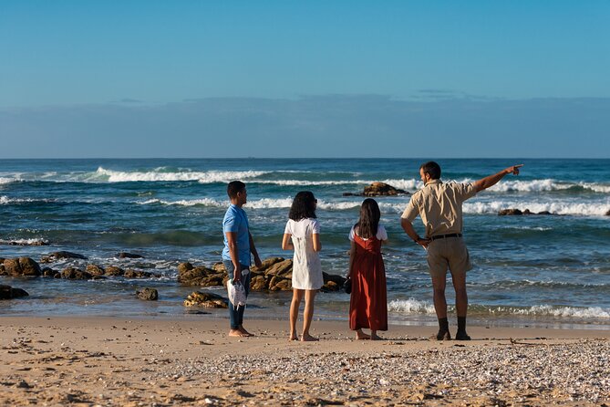 Marine Eco Safari - The Guide Factor: What You Gain from People Like Mervyn, Nash, and Roger