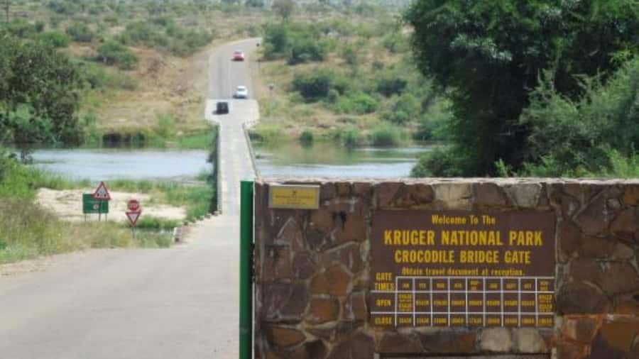 Marloth Park: Bush Braai Dinner & Game Drive in Kruger Park - Key highlights that matter in real life