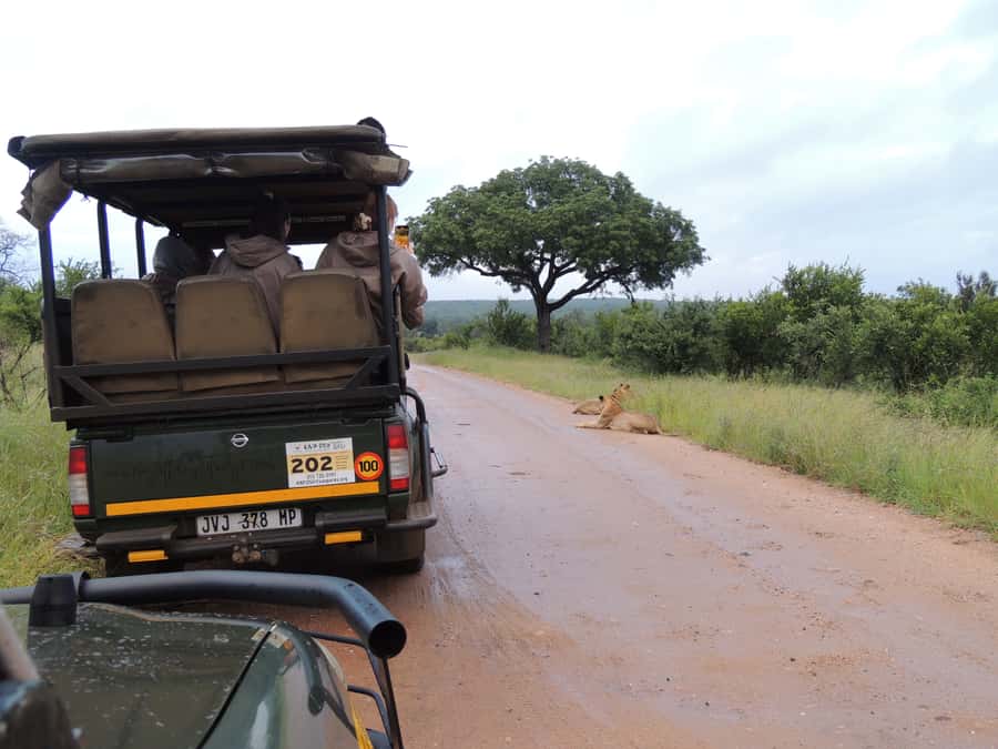 Marloth Park: Kruger National Park Safari Game Drives - What to bring (so you are not miserable at dawn)