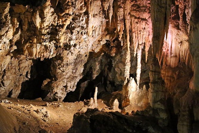 Maropeng Cradle of Humankind Museum &Sterkfontein Cave Experience - Cradle of Humankind versus Sterkfontein: what this tour delivers right now