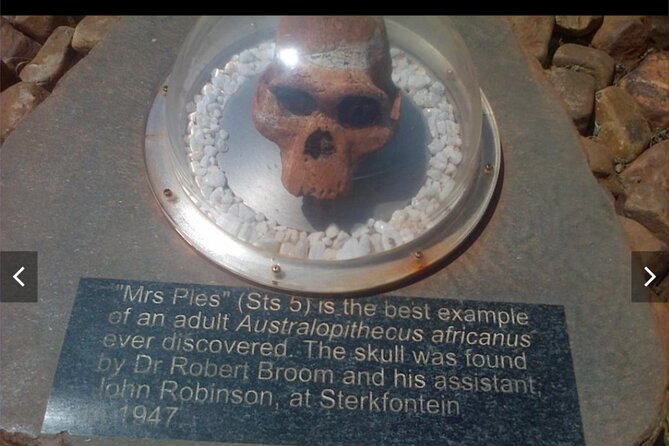 Maropeng Cradle of Humankind Museum &Sterkfontein Cave Experience - How the logistics shape your day: pickup, timing, and group size
