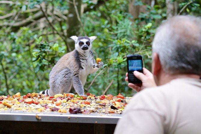 Monkeyland Guided Tour in Plettenberg Bay - The one main stop: Monkeyland Primate Sanctuary and what to expect
