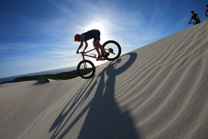 Morning Fatbike Dune Tour - Family day on dunes, what ages typically handle well