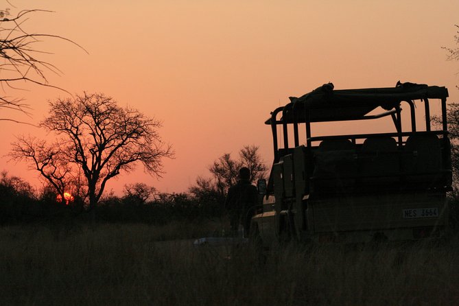 Morning Kruger National Park Safari - Pricing and Value: Is $91.69 a Good Deal?