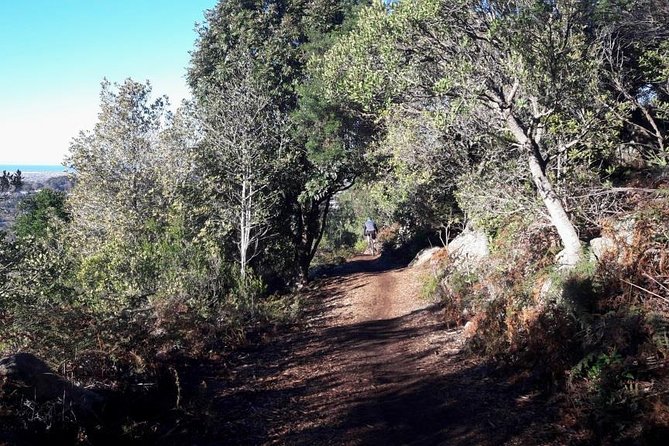 Mountain Biking Table Mountain to Constantia Morning Ride - Final Stretch: Along the Lower Base Toward Constantia Valley