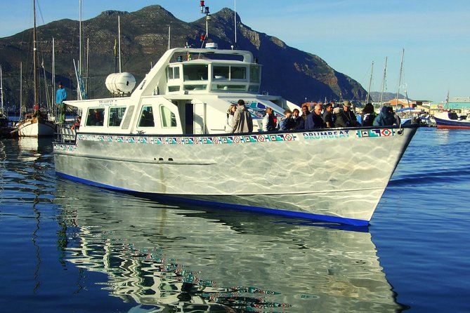 MUST DO: Boulders Beach & Cape Point Full Day Tour #1 Rated - What you get from the guide and driver matters more than you think