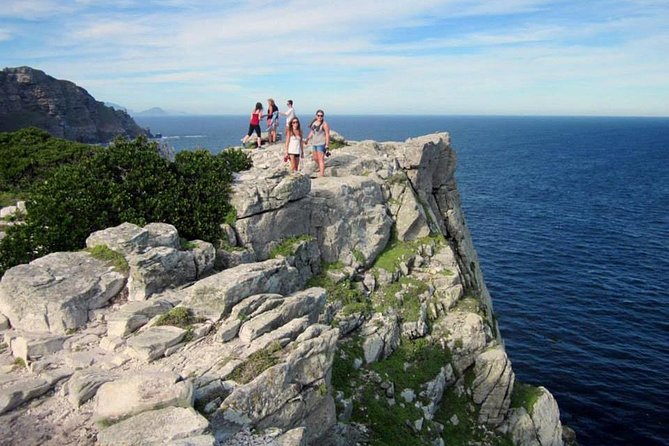 MUST DO: Boulders Beach & Cape Point Full Day Tour #1 Rated - Boulders Beach and the penguin colony: optional, but hard to forget