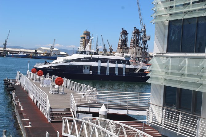 Nelson Mandela's Robben Island Prison Museum Cape Town City Tour + Ferry Tickets - The day’s pacing around Robben Island (and why lunch later helps)
